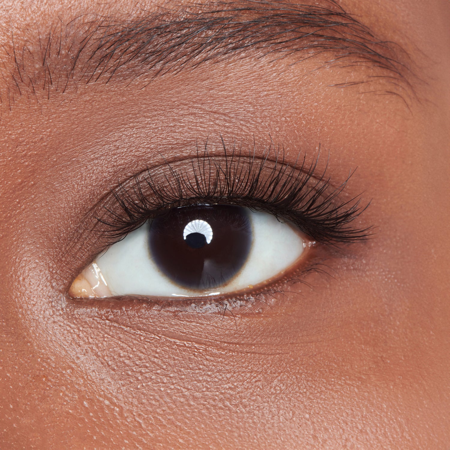 KISS Lash Case It Kit