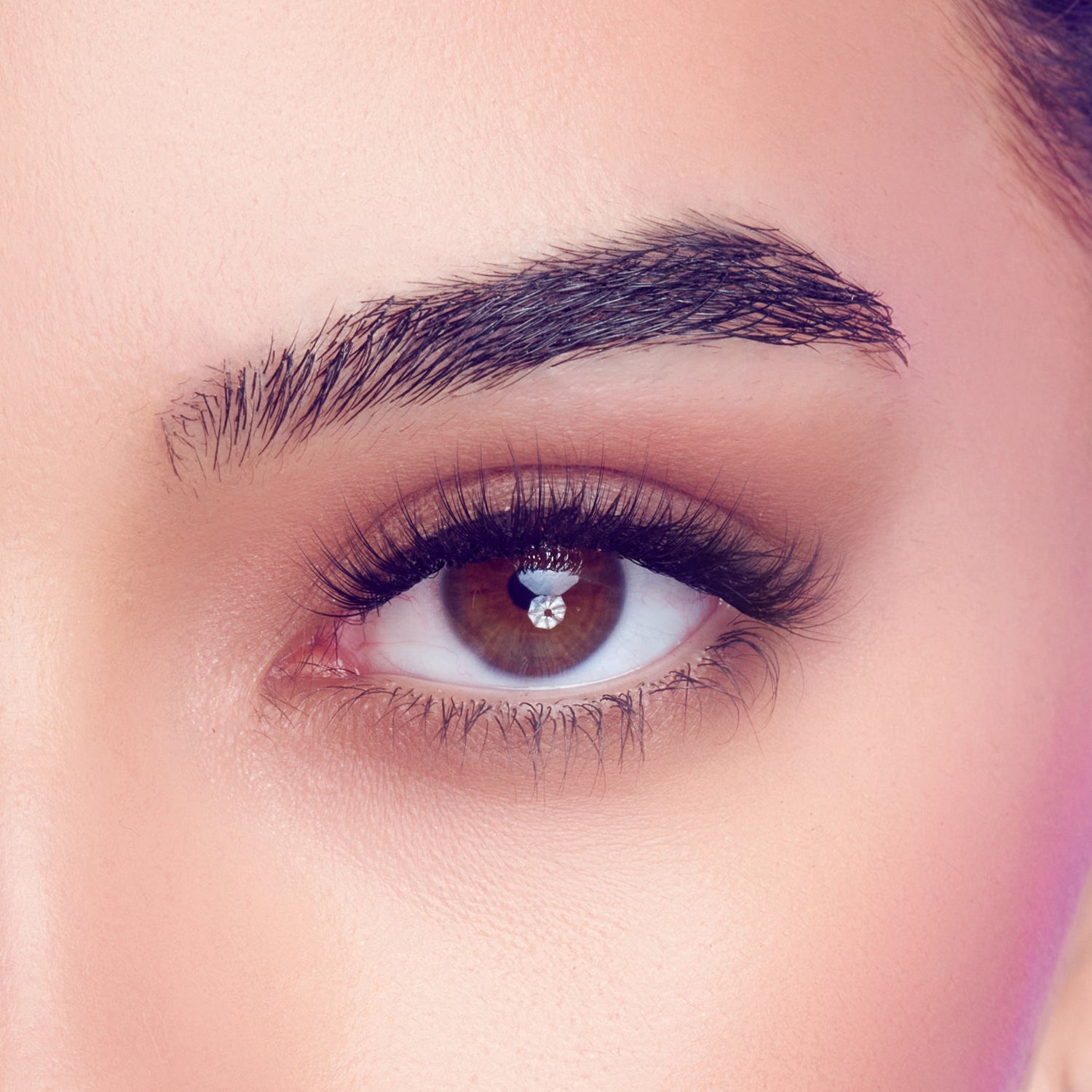 FALSCARA STUDIO Lash Extension Kit  - Xtra